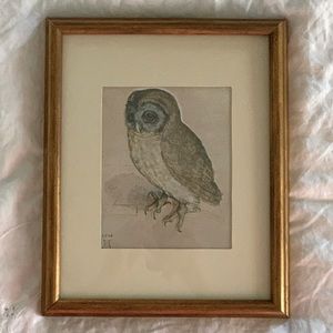 Albrecht Durer 1508 Owl Print - Framed